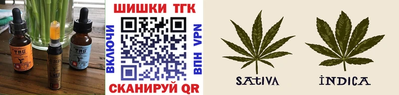купить наркотики цена  Новосокольники  Еда ТГК марихуана 