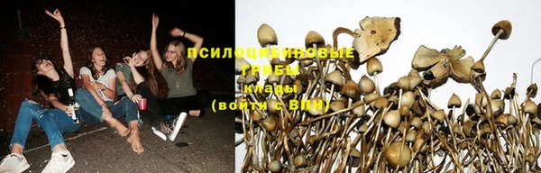 каннабис Баксан